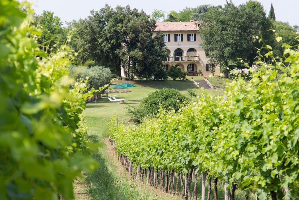 Villa Marani Rovolon Dış mekan fotoğraf